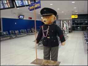 空港のクマ