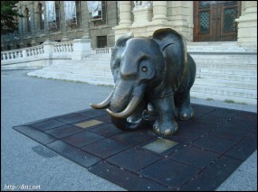 自然史博物館の象の像