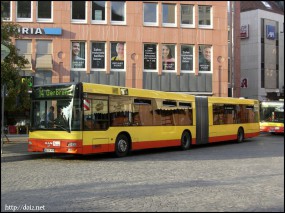 長いバス