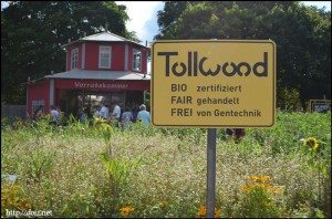 Tollwood